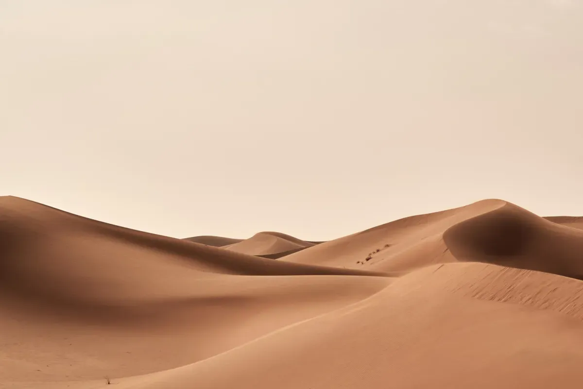 Zandduinen in een woestijn, gevormd door de wind